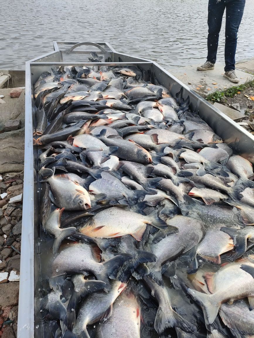 大仙休闲钓鱼场