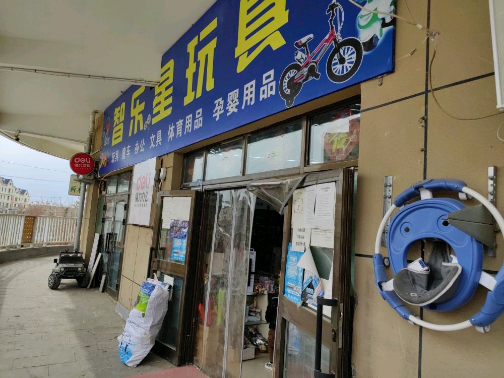 智乐星文体玩具店