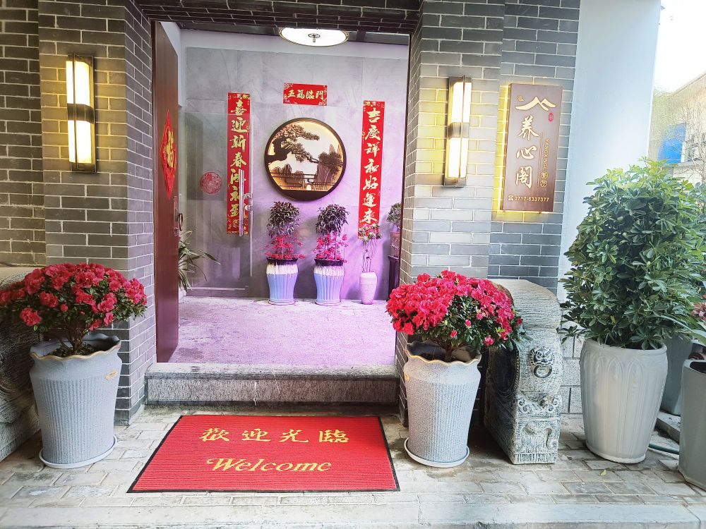 养心阁私房鸡餐厅(发展大道店)