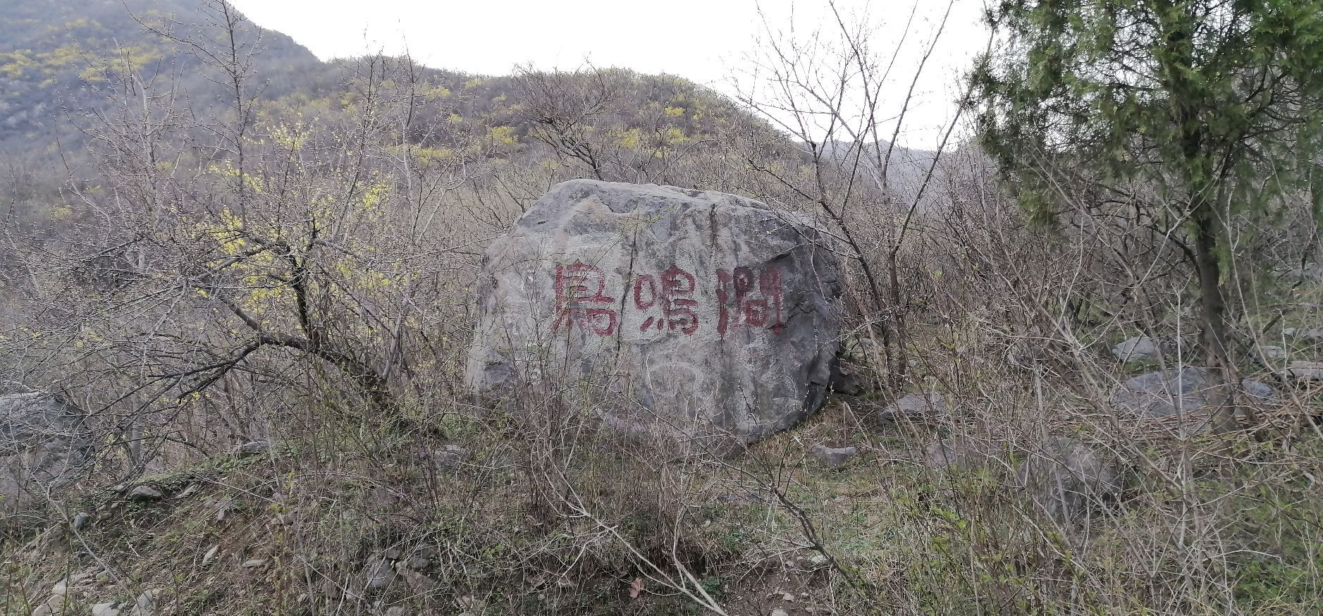 鸟鸣涧风景区