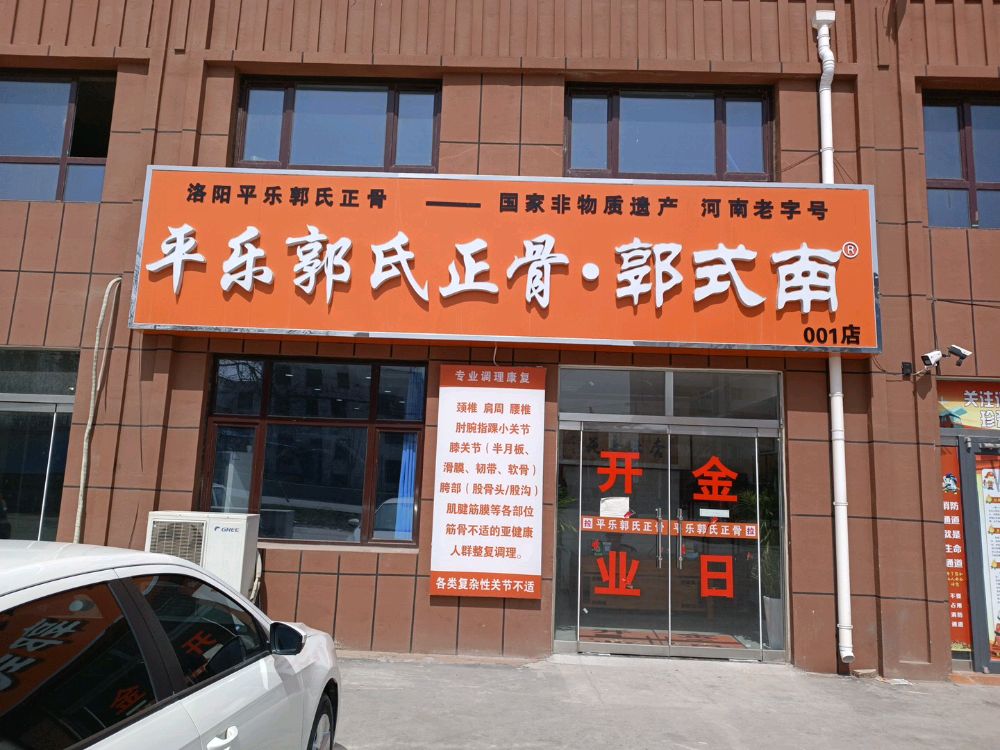 平乐郭氏正骨·郭式南(001店)