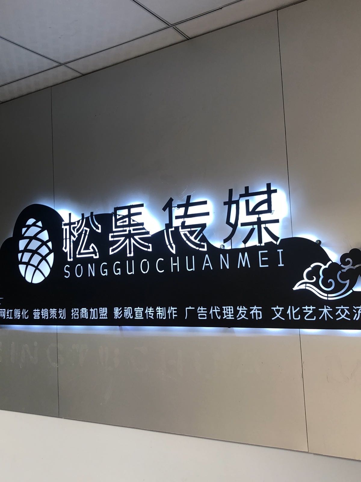 松果传媒