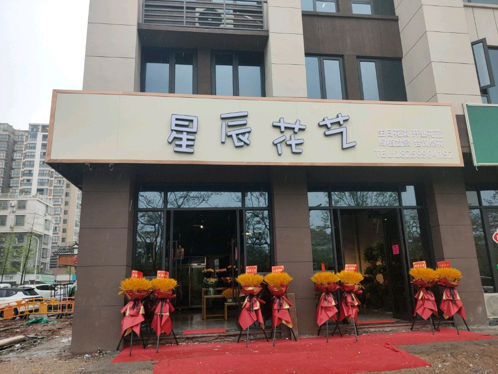 星辰花艺(北苑路店)