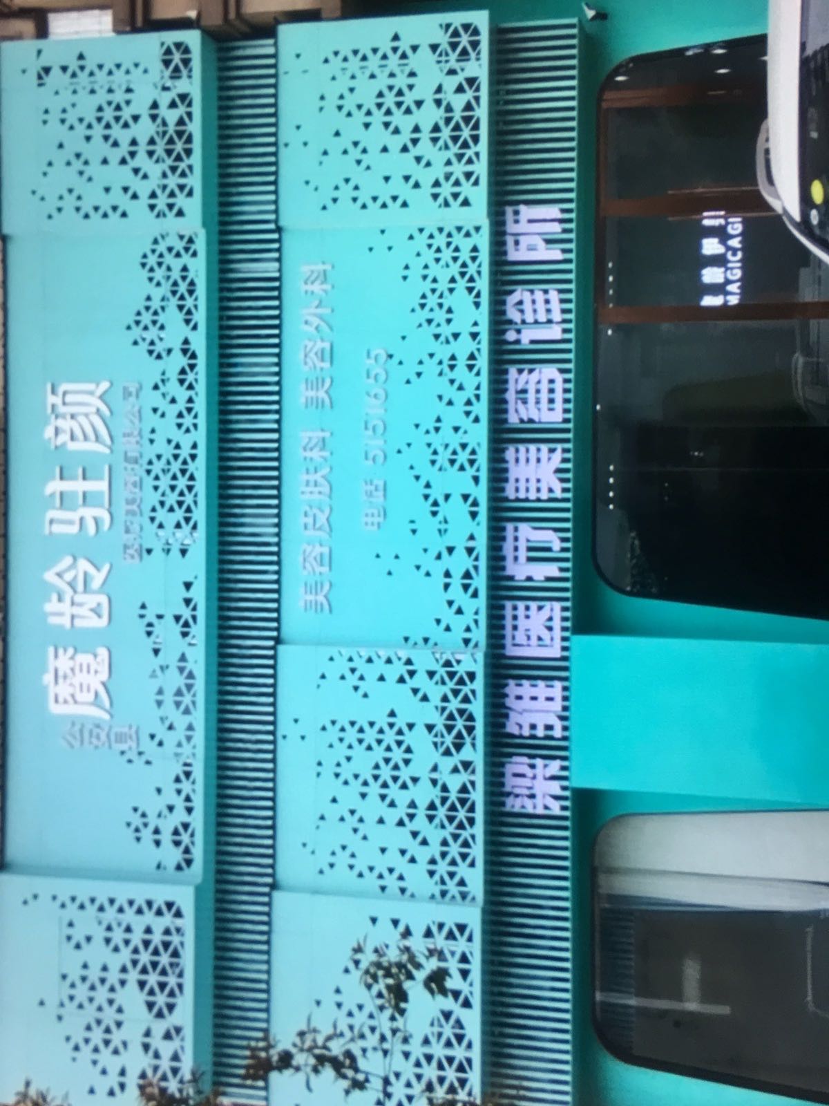 公安县魔龄驻颜医疗美容有限公司