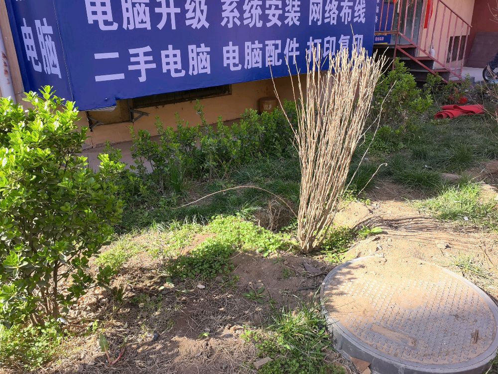 精诚电脑维修回收(新华巷店)