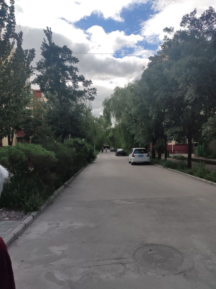 大同一电厂家属区