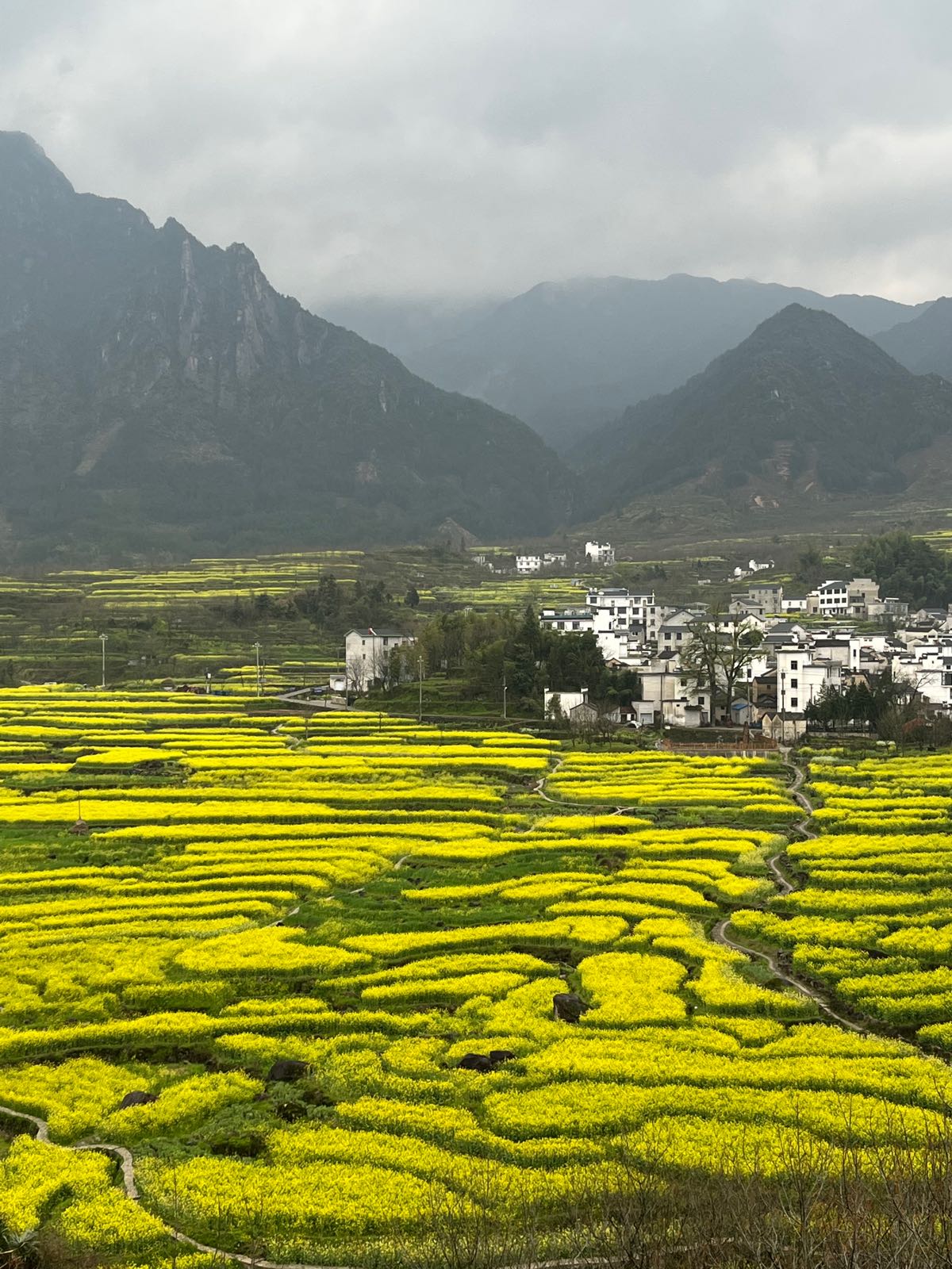 梅干岭景观台