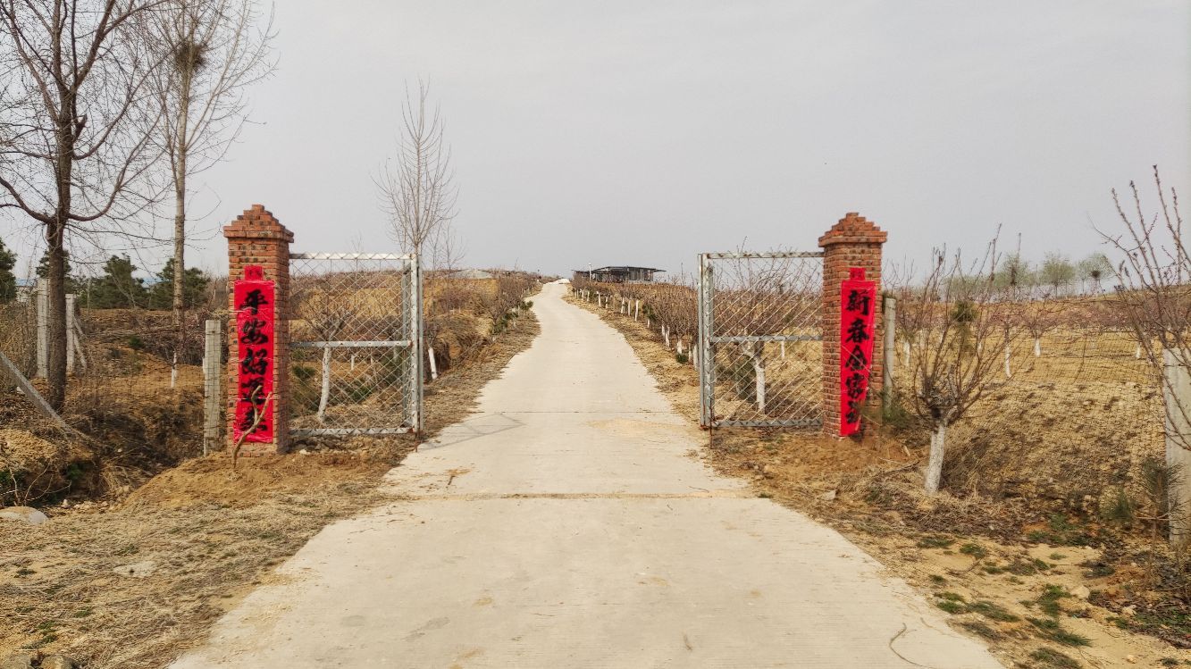 山东省泰安市岱岳区祝阳镇焦南村摩天岭