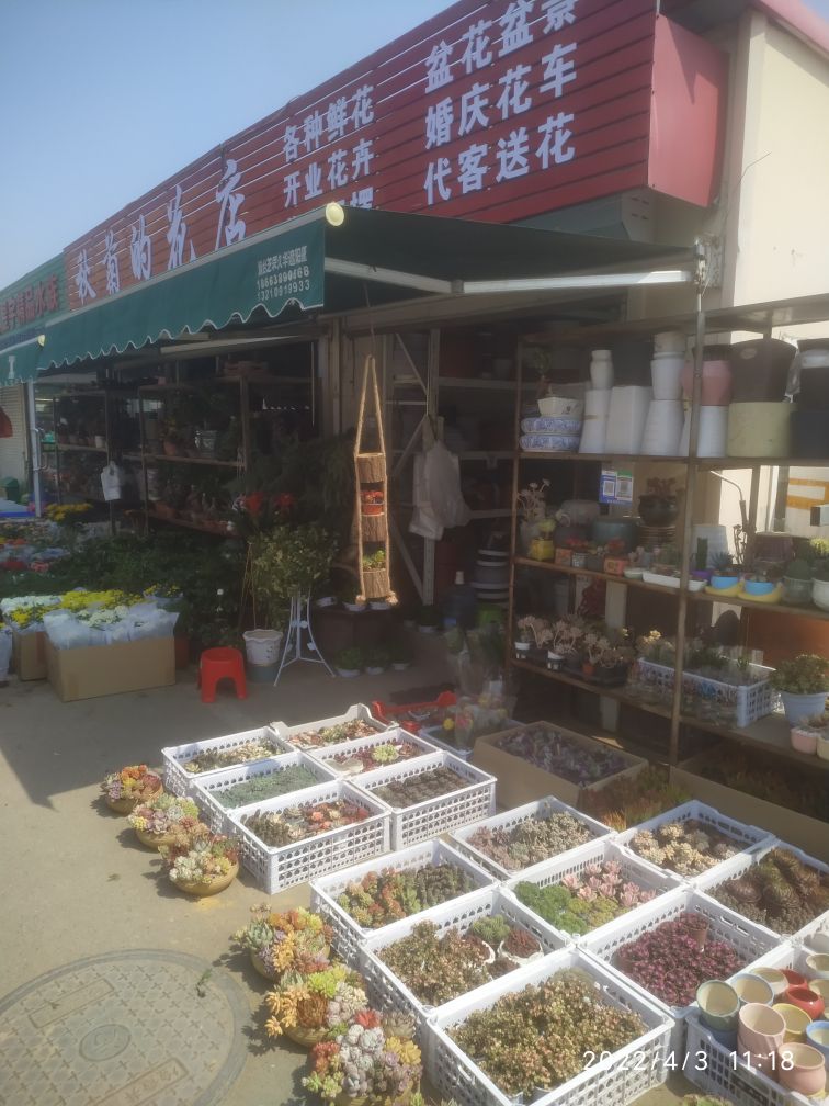 秋菊的花店