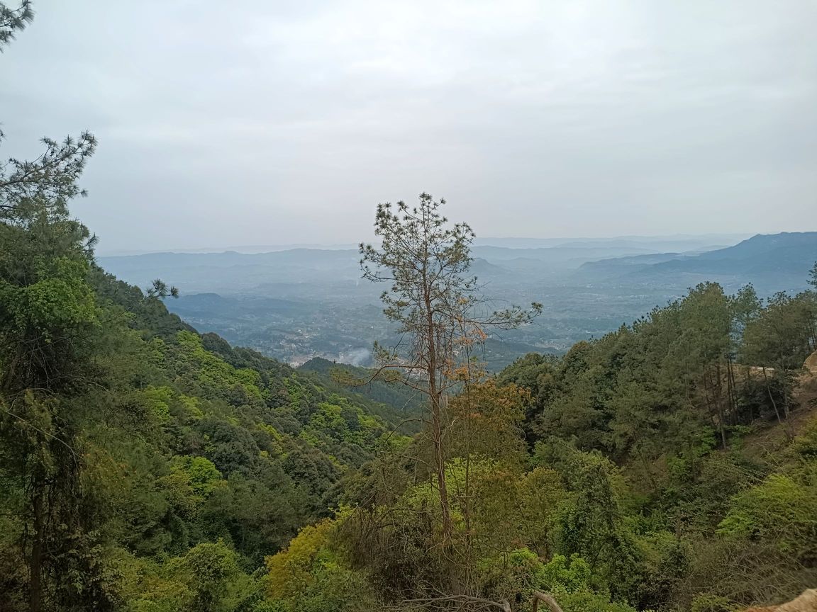 观音山森林公园