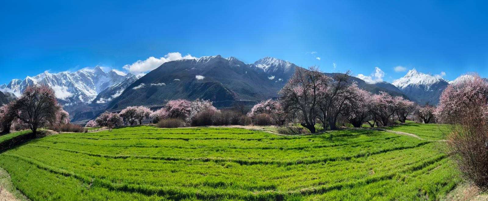 三座雪山观景台6