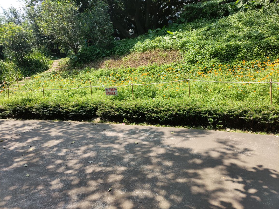 龙山公园-凉亭