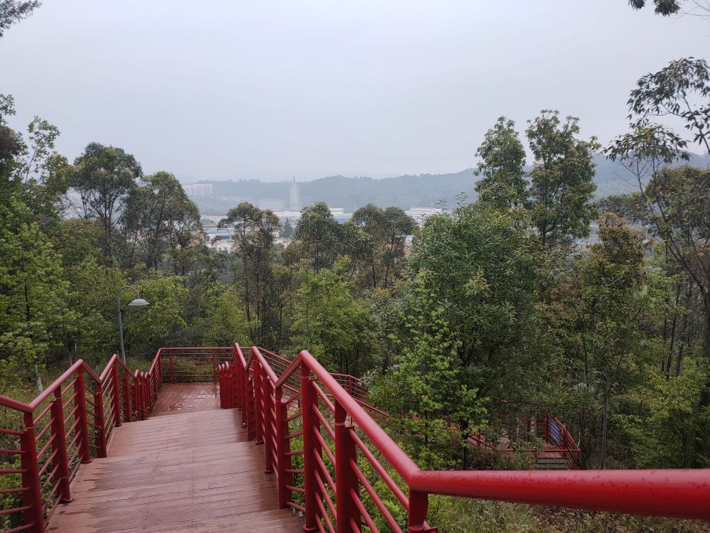 柴家大山观景台