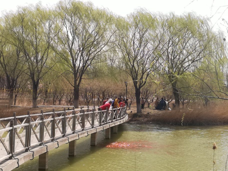 金福湿地公园