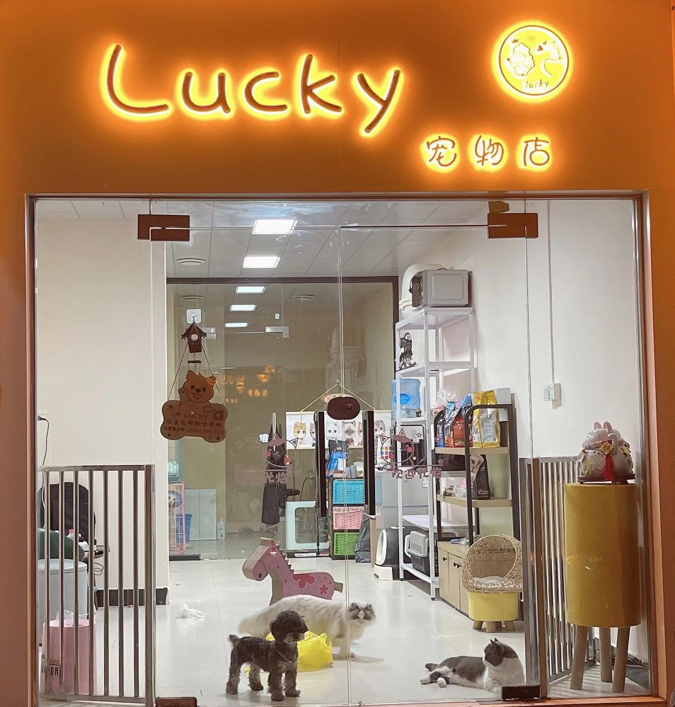 Lucky宠物店