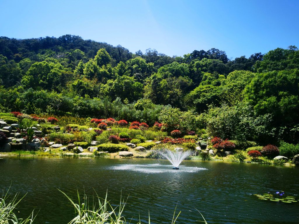 福山郊野公园-卧牛潭