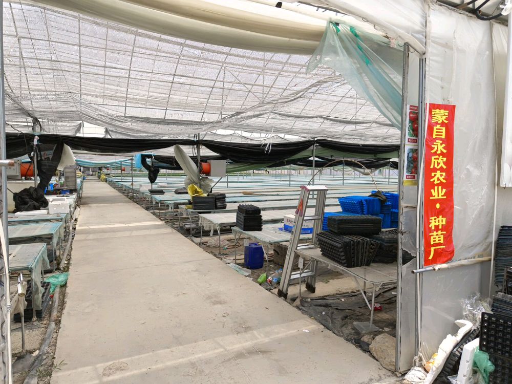 永欣种苗