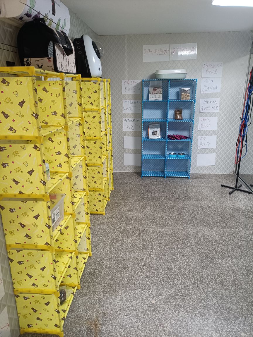四号医美宠物商店