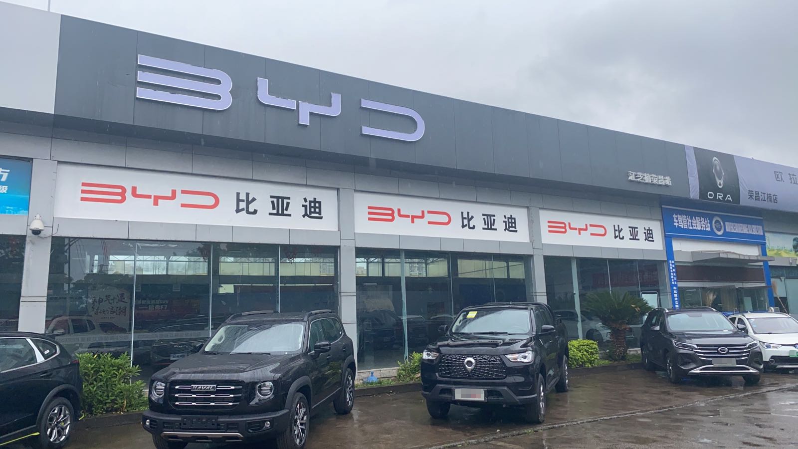 比亚迪青(荣昌中辰店)