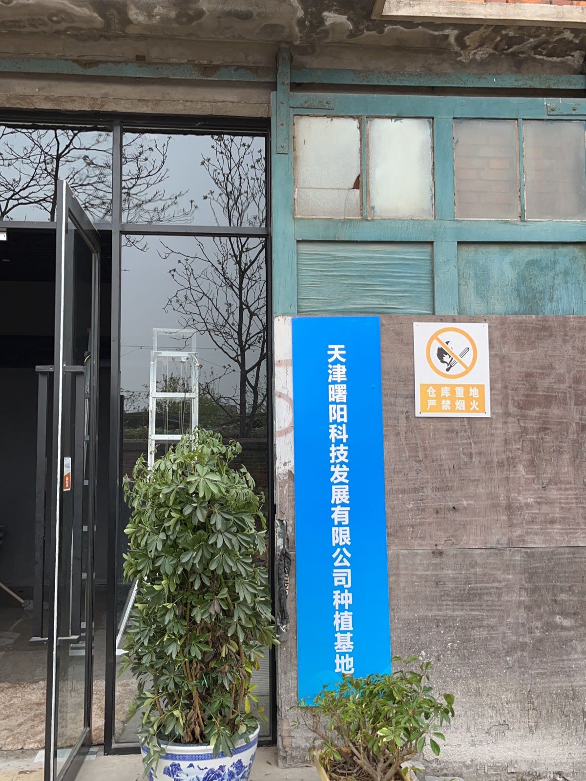 天津曙阳科级发展有限公司种植基地