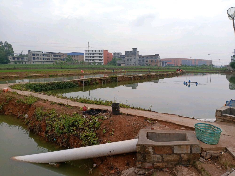 石卡沃水钓鱼场