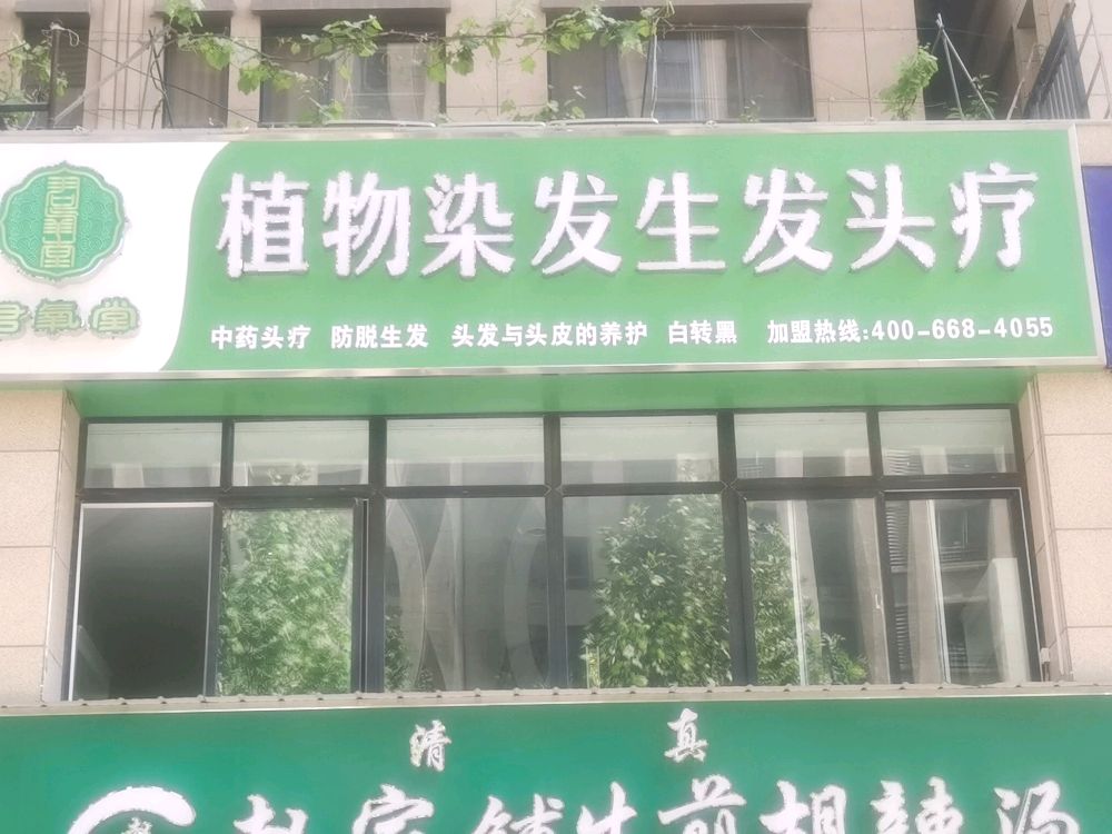 君氧堂植物染发生发头疗