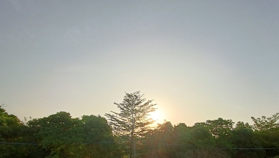 林惠山后头山公园