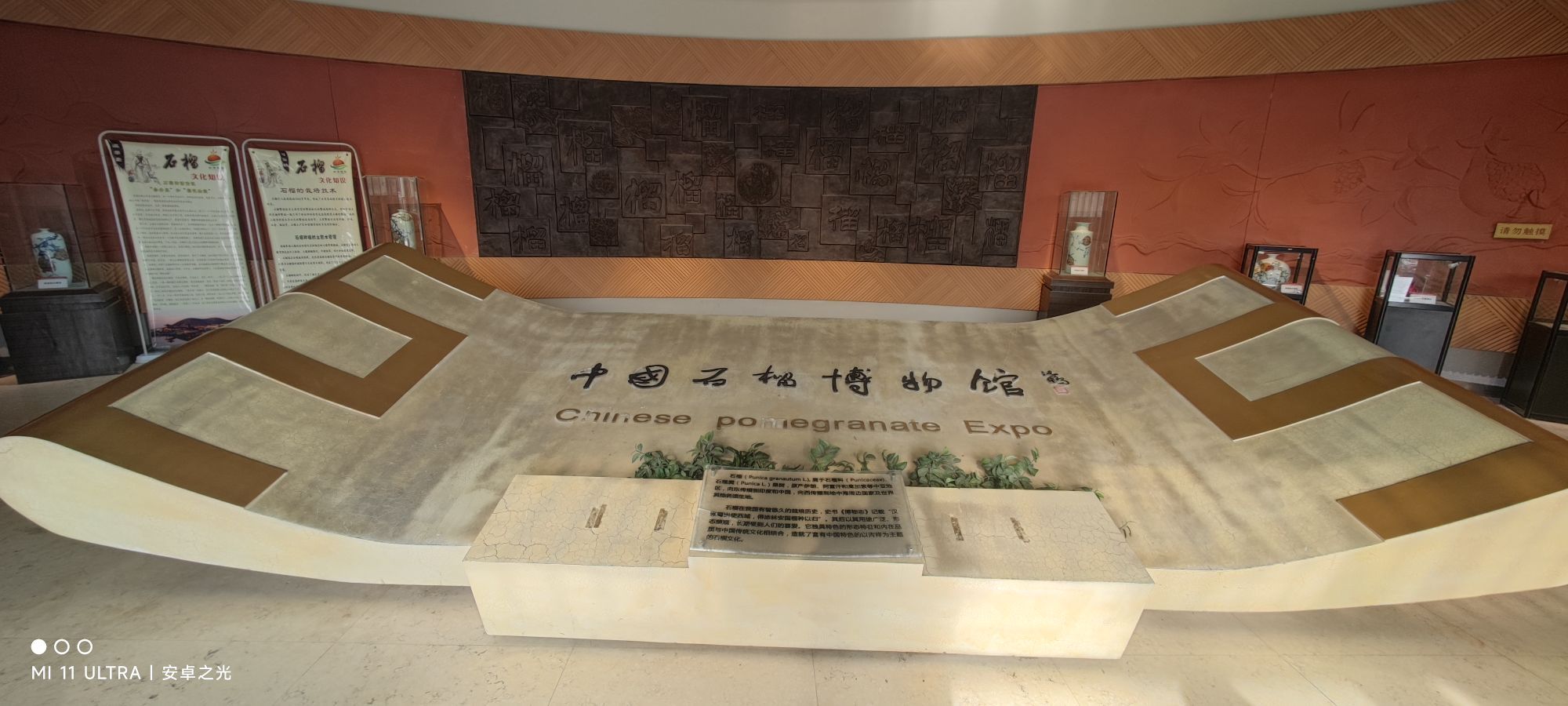 中国石榴博物院