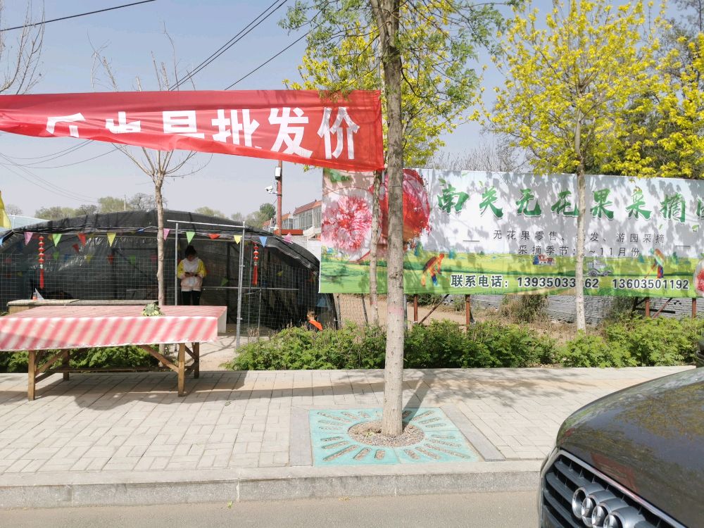 南关无花果采摘园