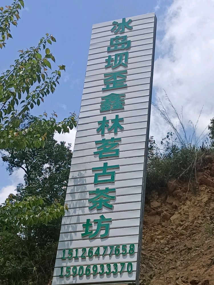 冰岛坝歪鑫林茗古茶坊