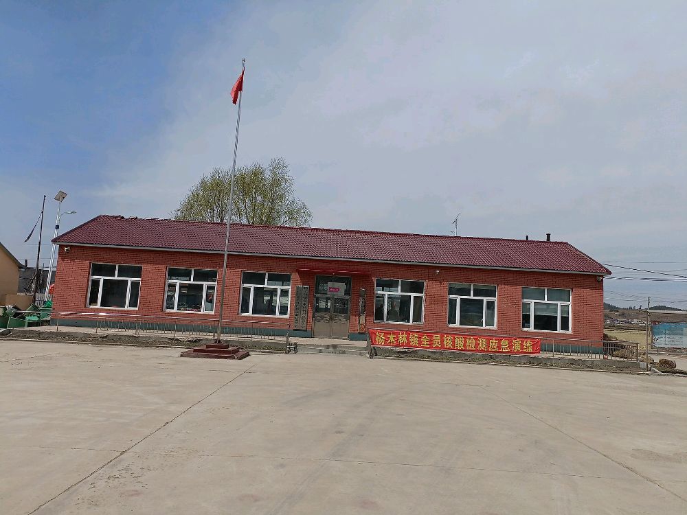 吉林省辽源市东丰县杨木林镇退役军人服务站