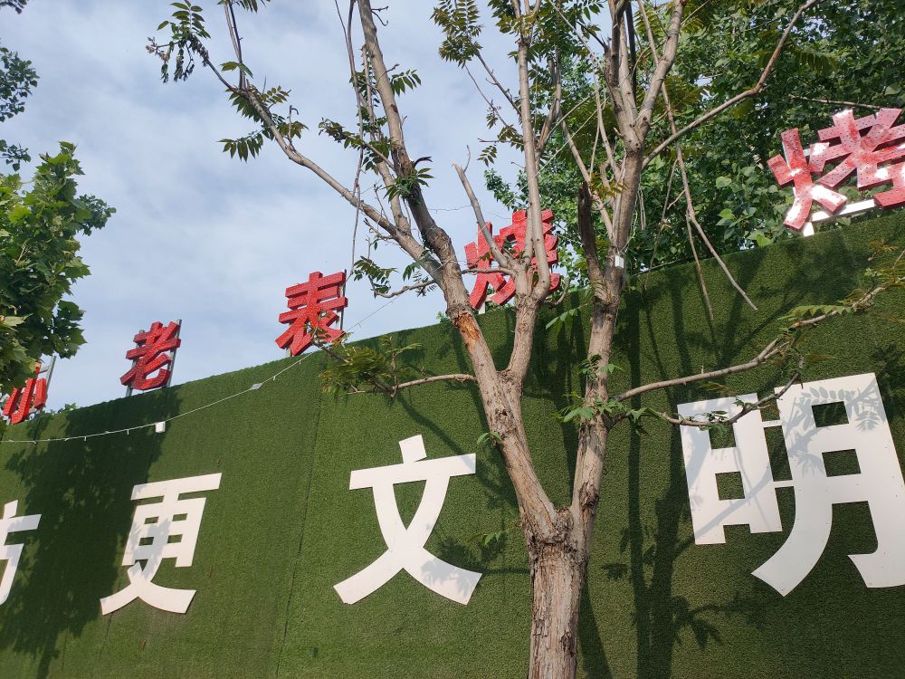 小老表烧烤