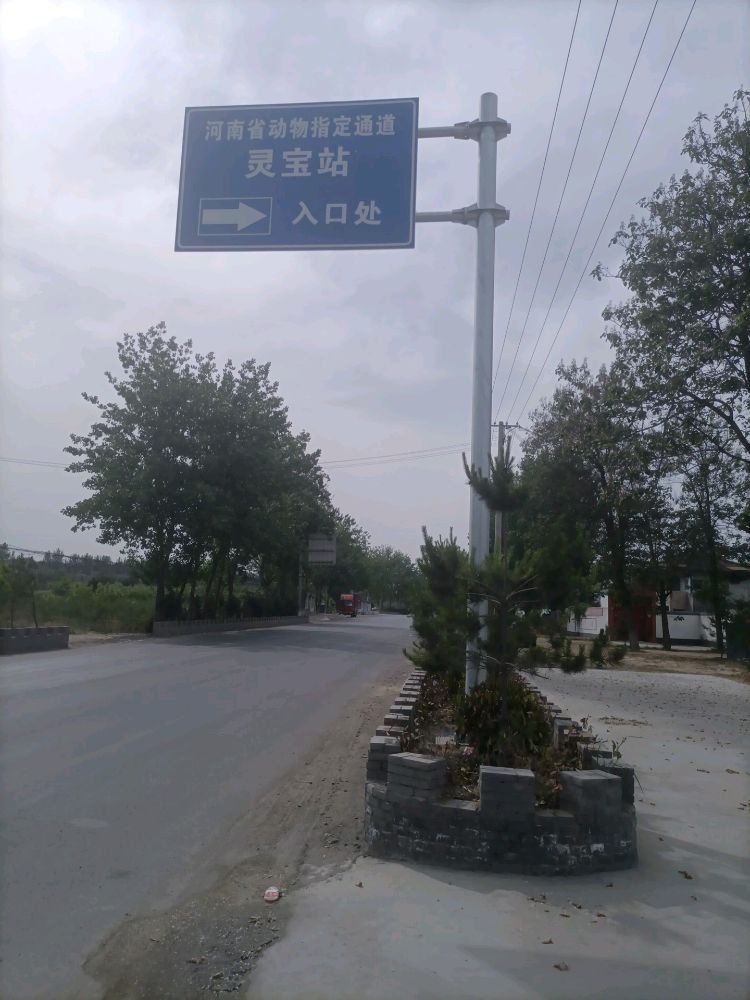 河南省动物指定通道灵宝站
