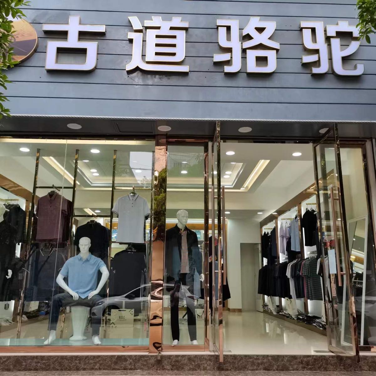 明古道骆驼