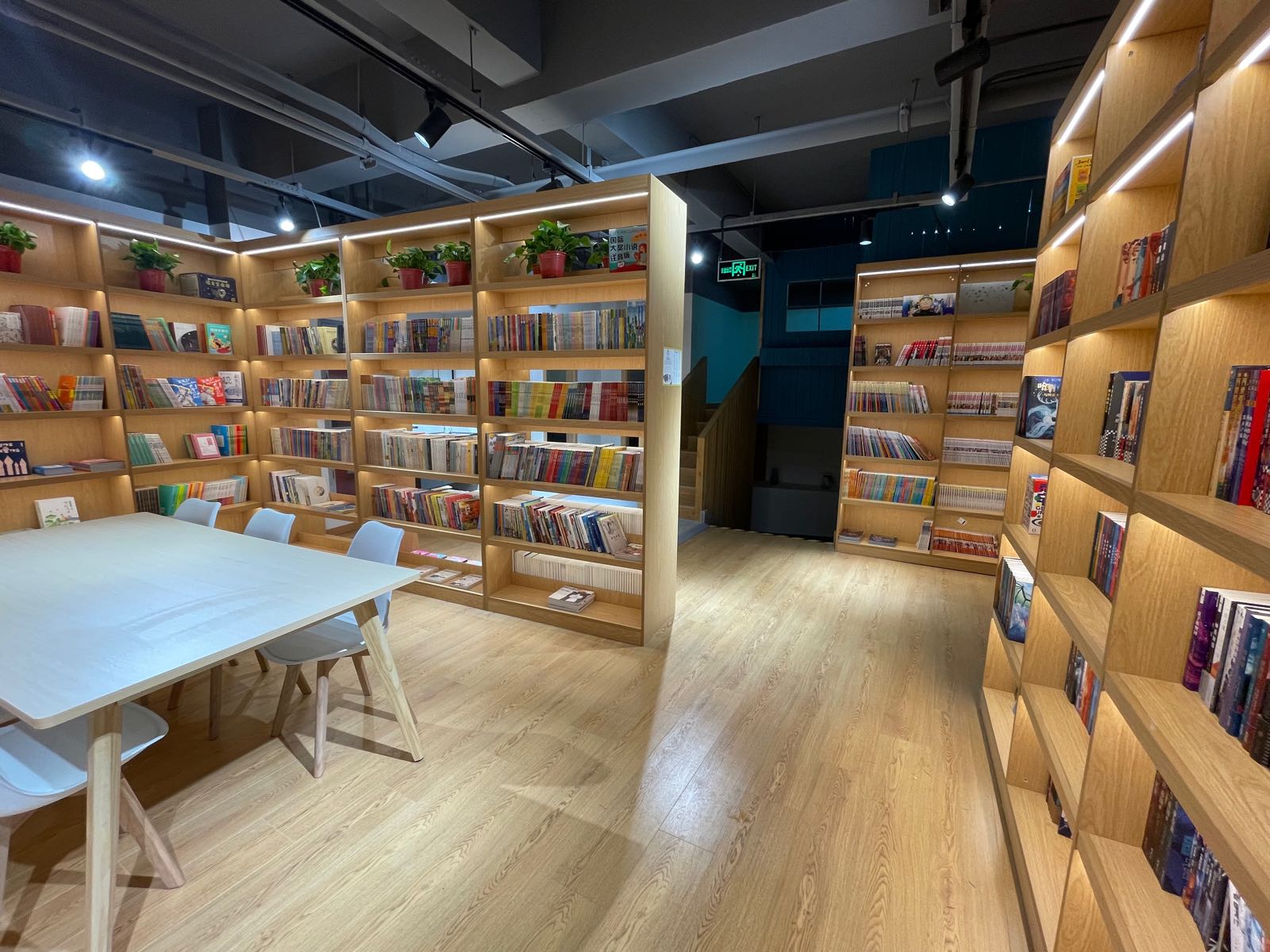 萤火虫。儿童图书店