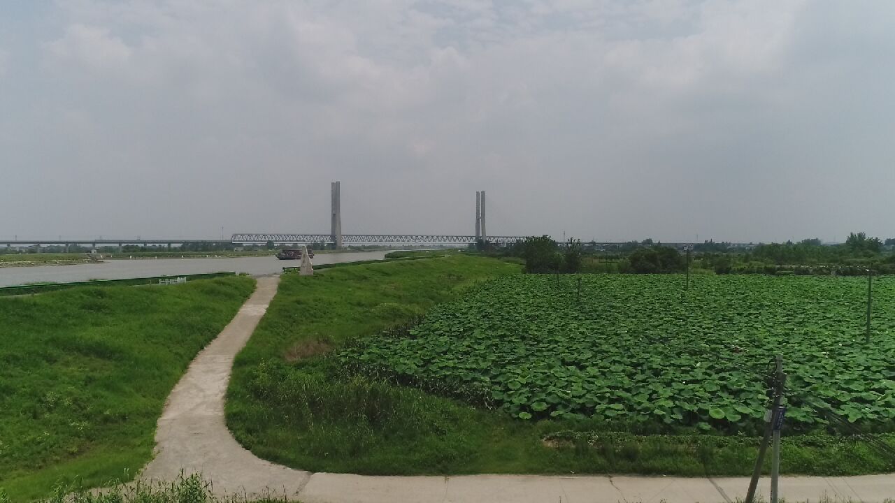 桑园村