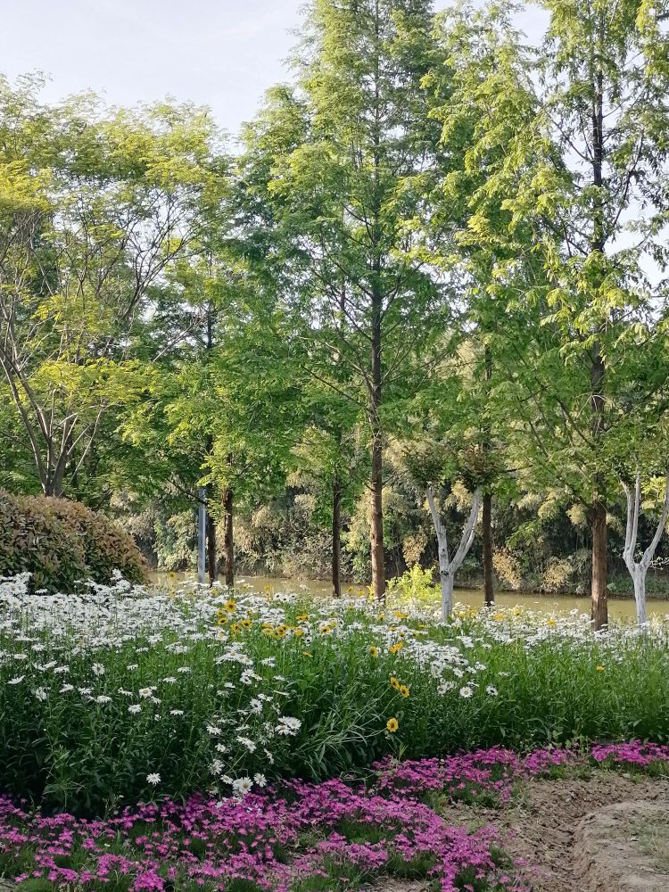 三角洲生态公园
