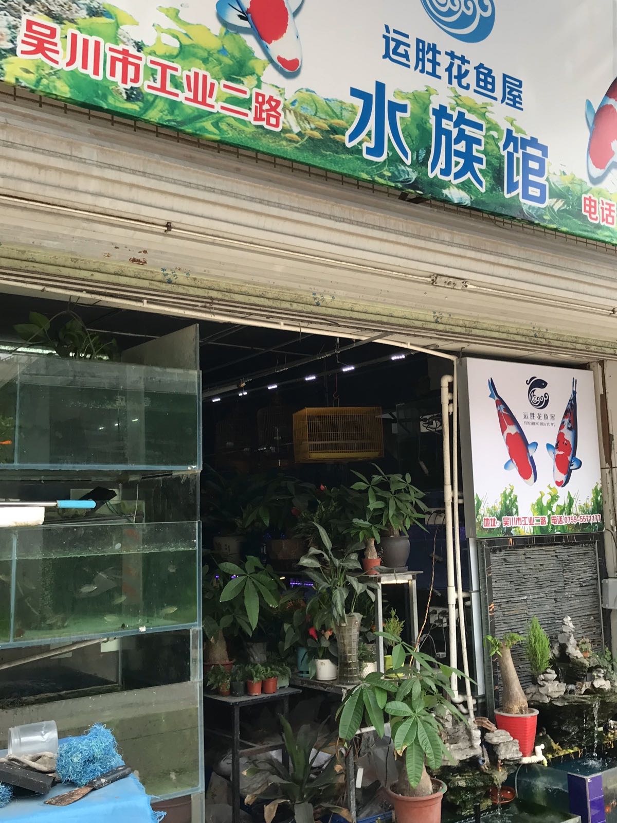 运胜花鱼屋水族馆