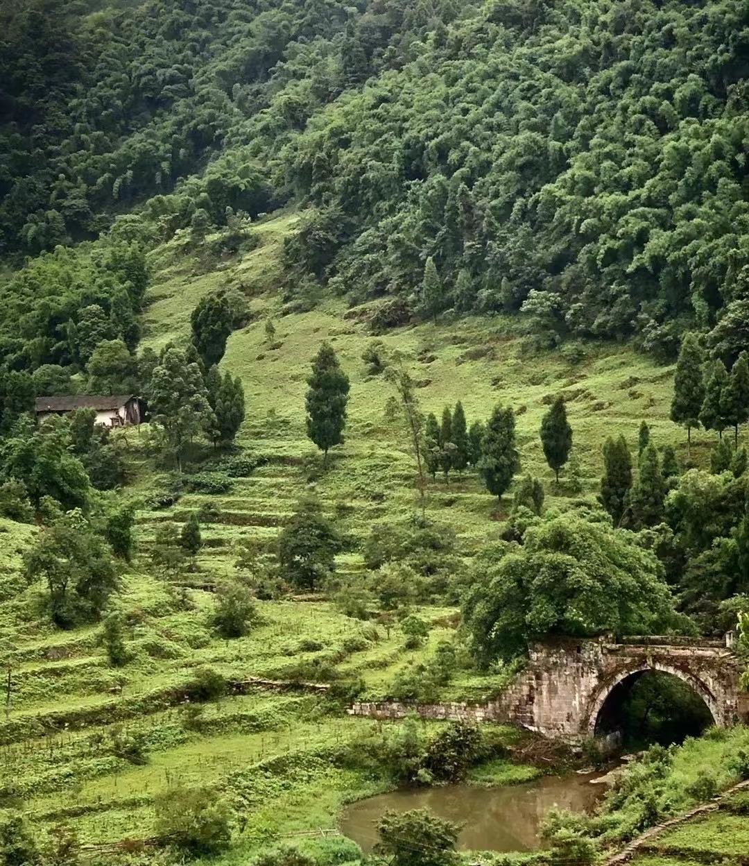 巴人水乡原液