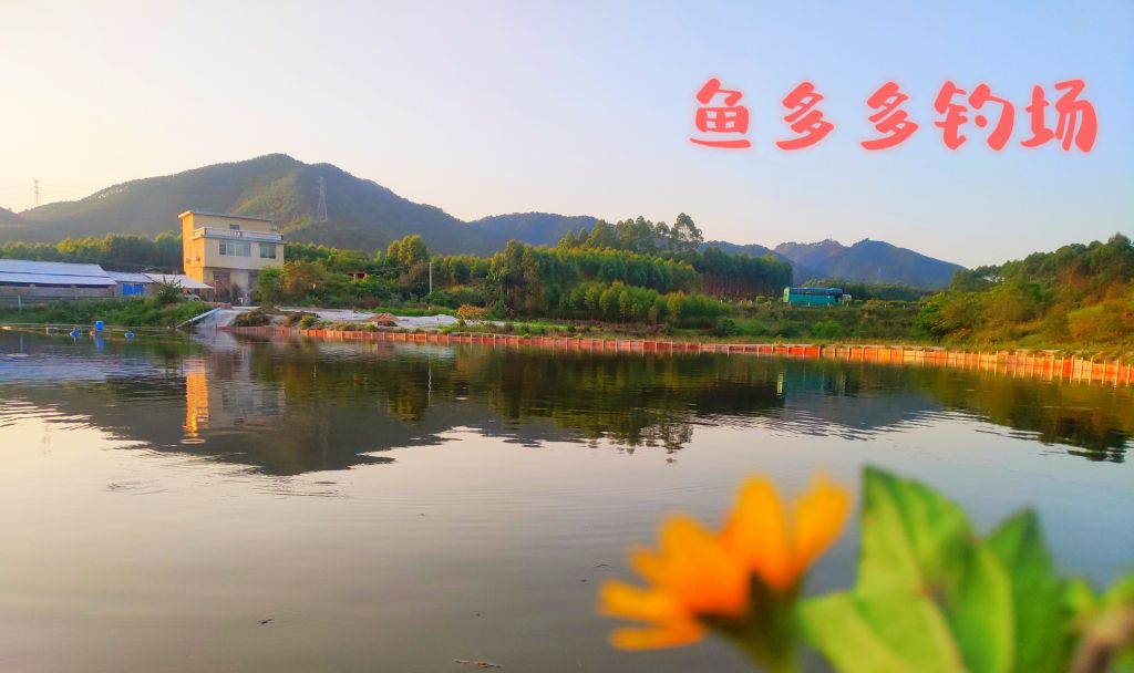 鱼多多钓场