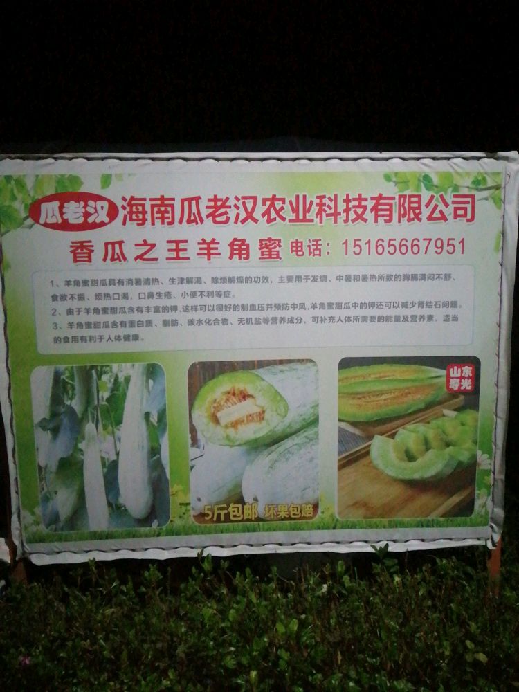 海南瓜老汉农业科技有限公司