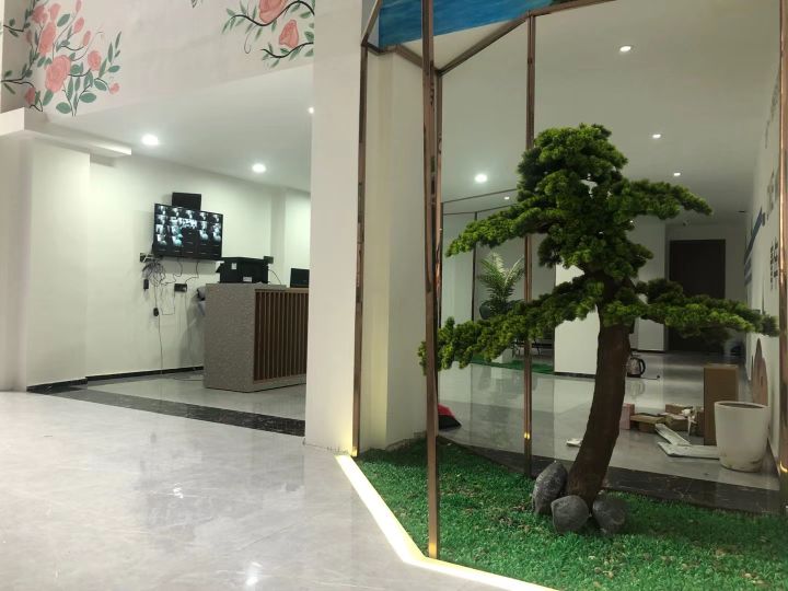 深圳诚奥名车维修