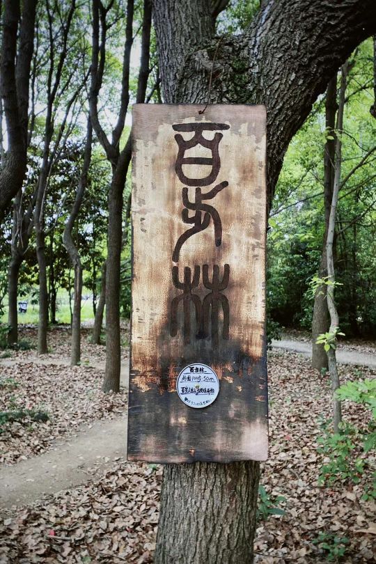 百步林