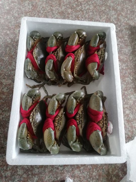 温州市东一鲜大黄鱼(旗舰店)
