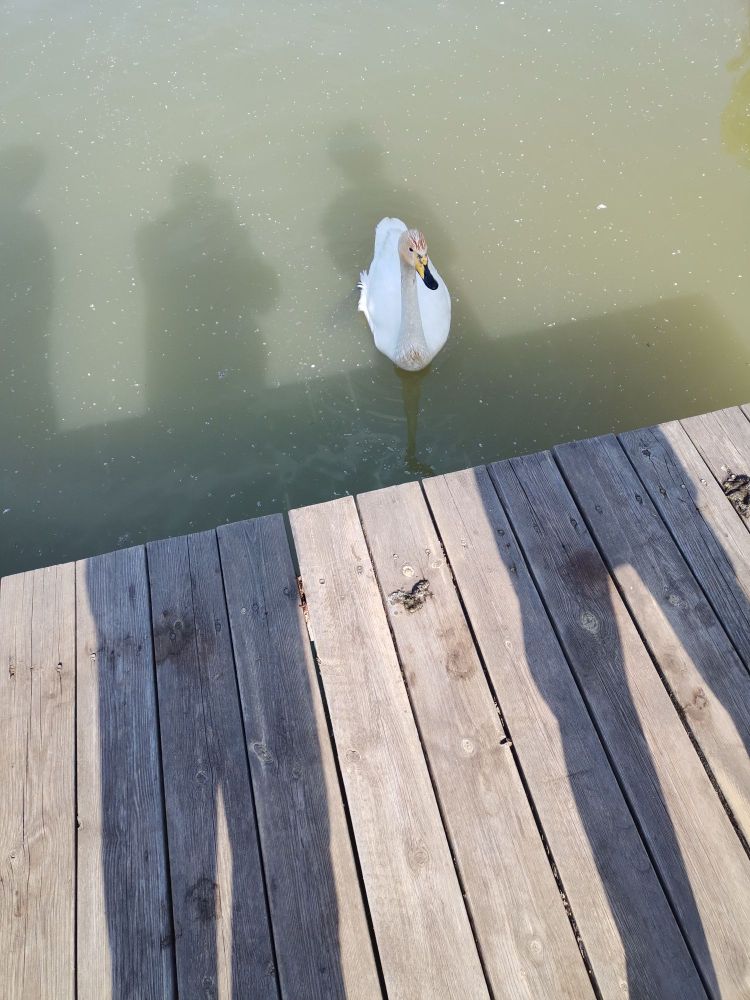 王吴水库景区