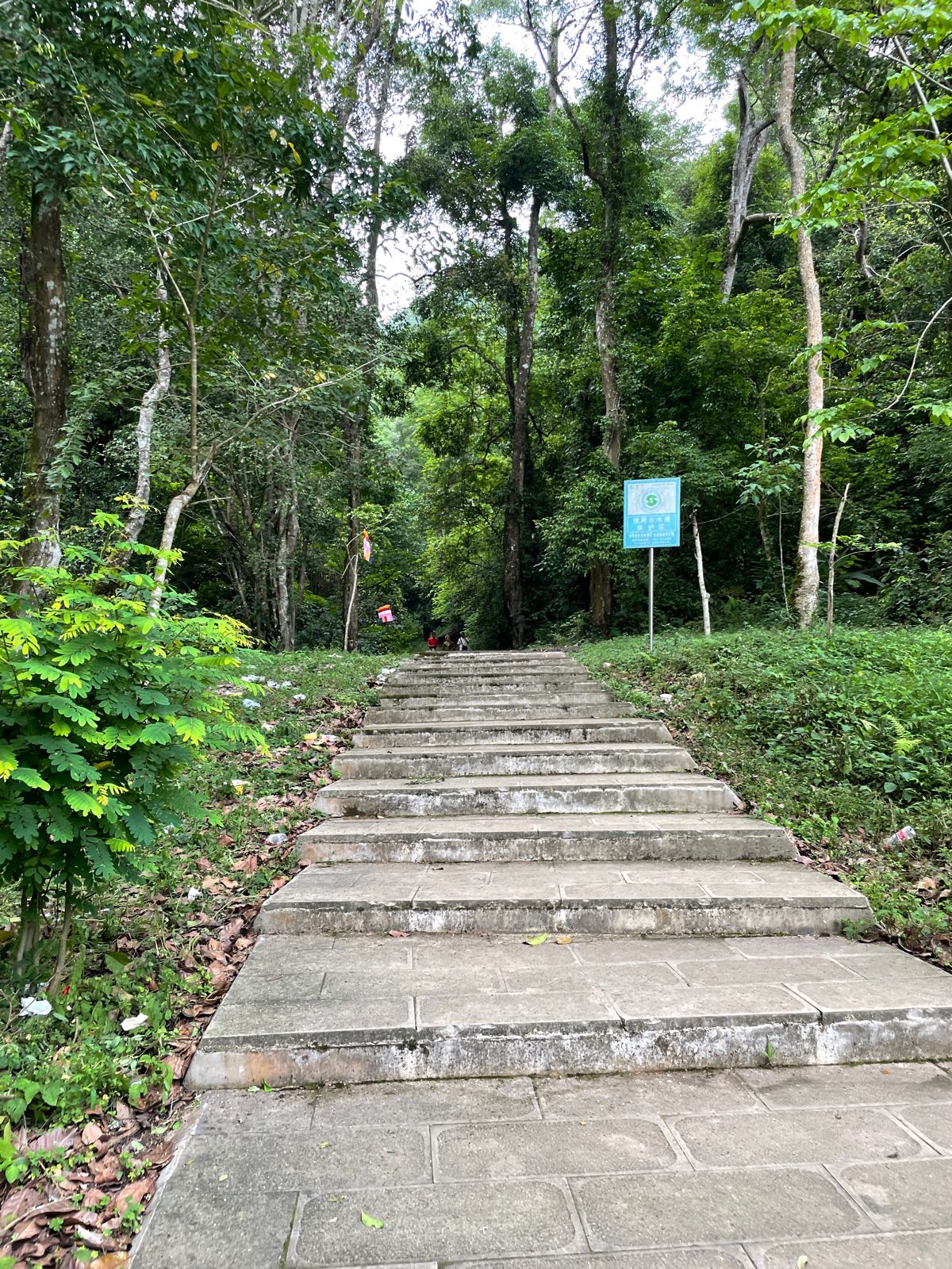 云南省西双版纳傣族自治州景洪市曼点村