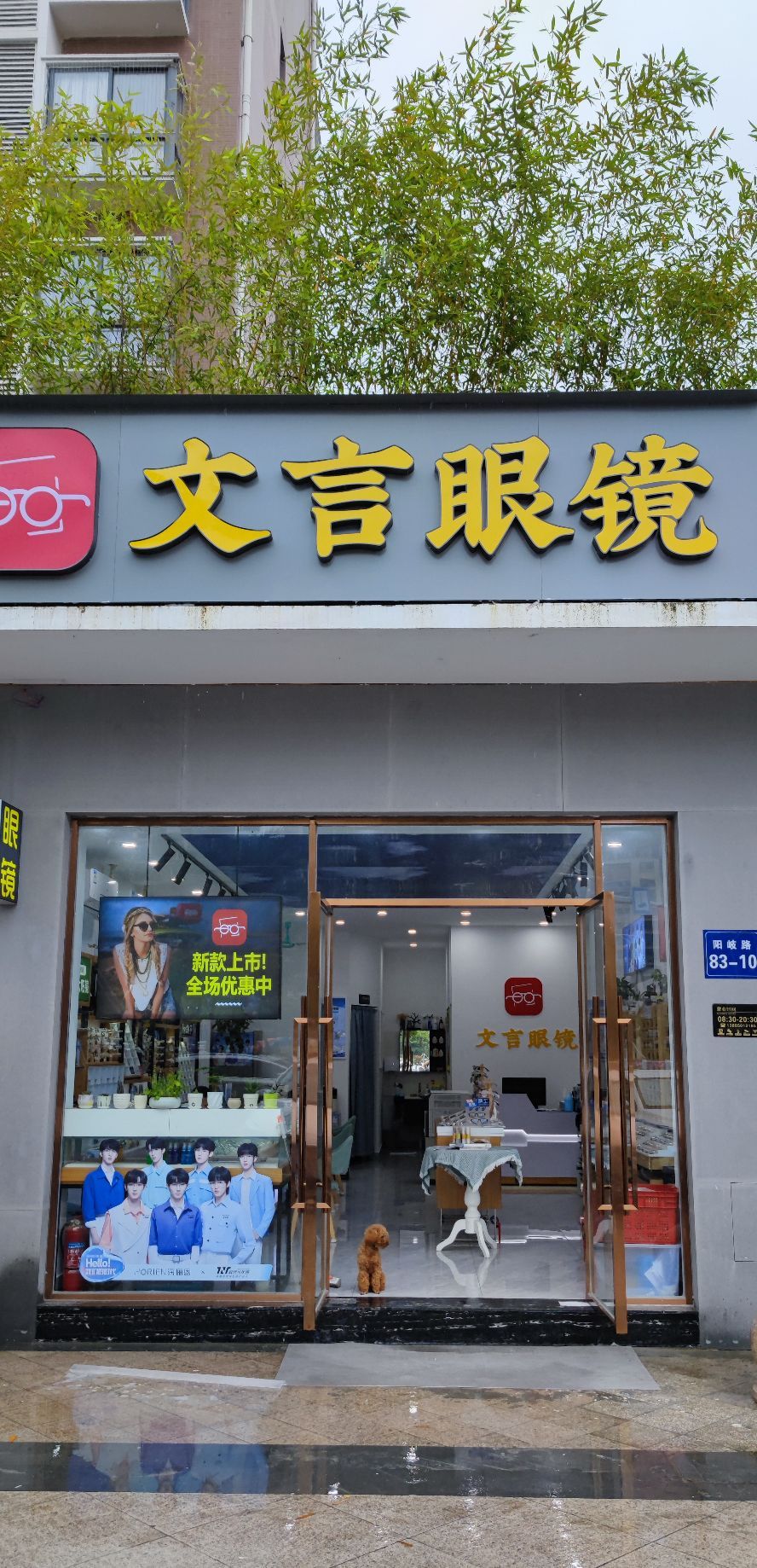 文言眼睛