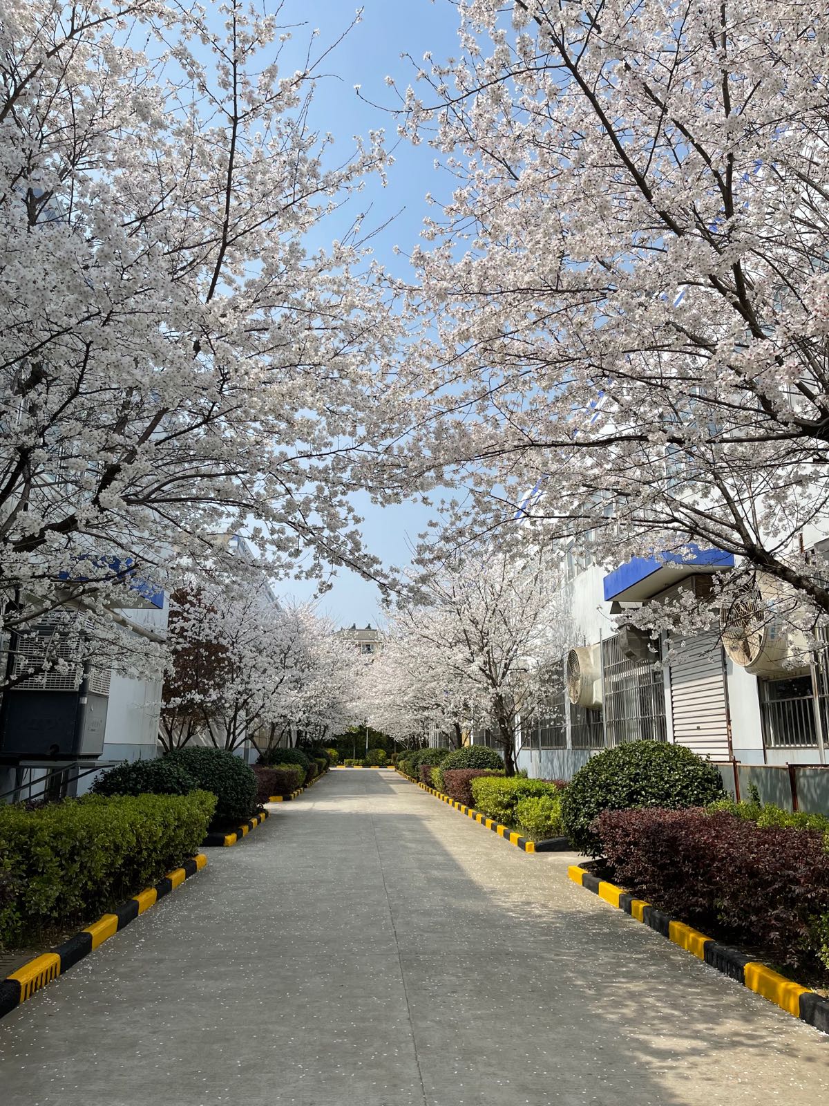 长幸纺服饰股份有限公司