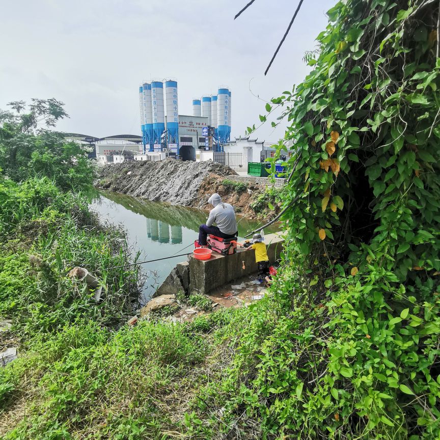 海堤钓场