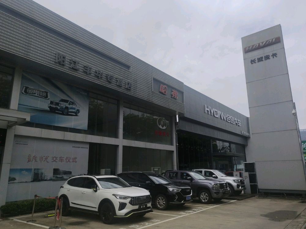 哈弗新能源(阳江丰华店)